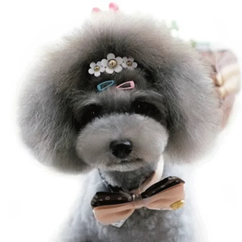 5pc/set Korean Mini 2cm Colorf - Vintage Fashion Dolls recension och pris